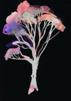 http://www.actionaqua.com/files/gimgs/th-142_20250813DJI0005invert.jpg