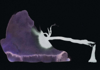 http://www.actionaqua.com/files/gimgs/th-142_20250817DJI10008invert.jpg