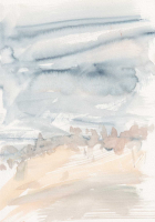 http://www.actionaqua.com/files/gimgs/th-146_20260115DJI0014.jpg