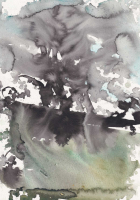 http://www.actionaqua.com/files/gimgs/th-146_20260221DJI0005.jpg