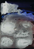 http://www.actionaqua.com/files/gimgs/th-147_20260130DJI0016invert.jpg
