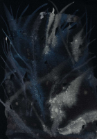 http://www.actionaqua.com/files/gimgs/th-147_20260204DJI0005invert.jpg