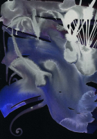 http://www.actionaqua.com/files/gimgs/th-147_20260208DJI30008invert.jpg