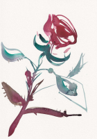 http://www.actionaqua.com/files/gimgs/th-148_20260214DJI0007.jpg
