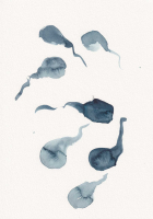 http://www.actionaqua.com/files/gimgs/th-98_20250505DJI0010.jpg