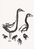 http://www.actionaqua.com/files/gimgs/th-98_20250625DJI0001.jpg